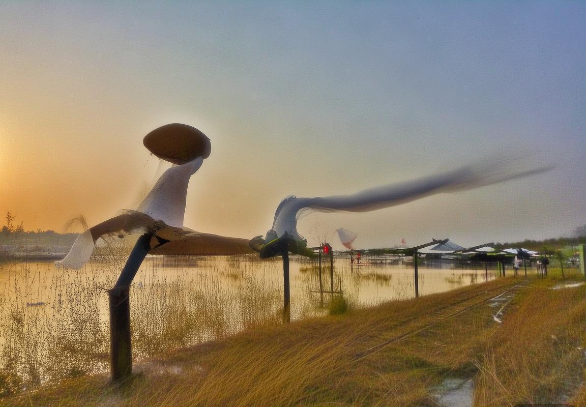 2004年NBA总决赛：活塞逆风翻盘，团队精神铸就冠军荣耀(图3)